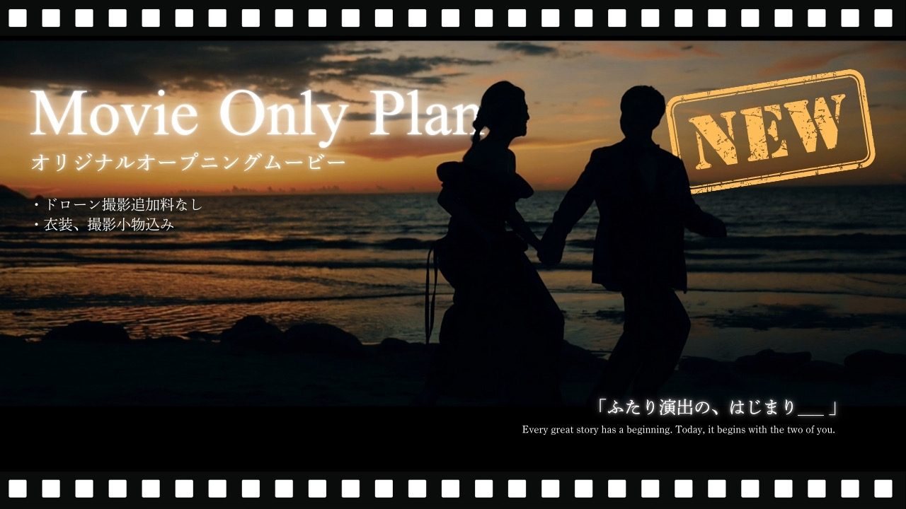 june bride説明写真