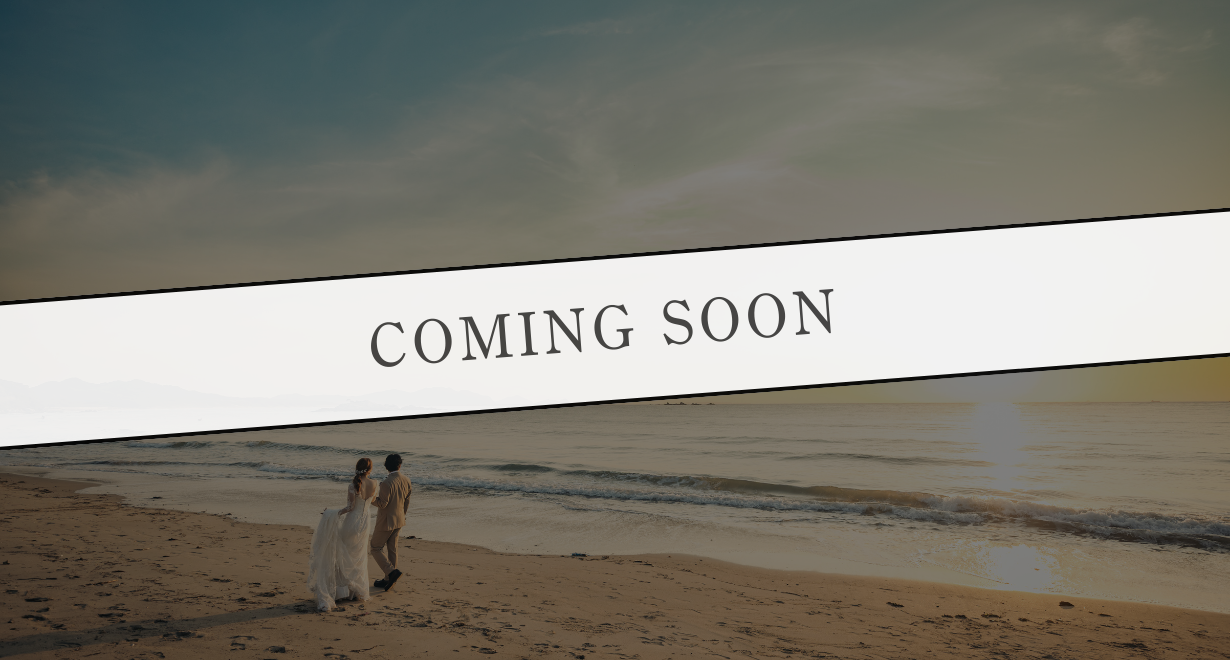 june bride説明写真